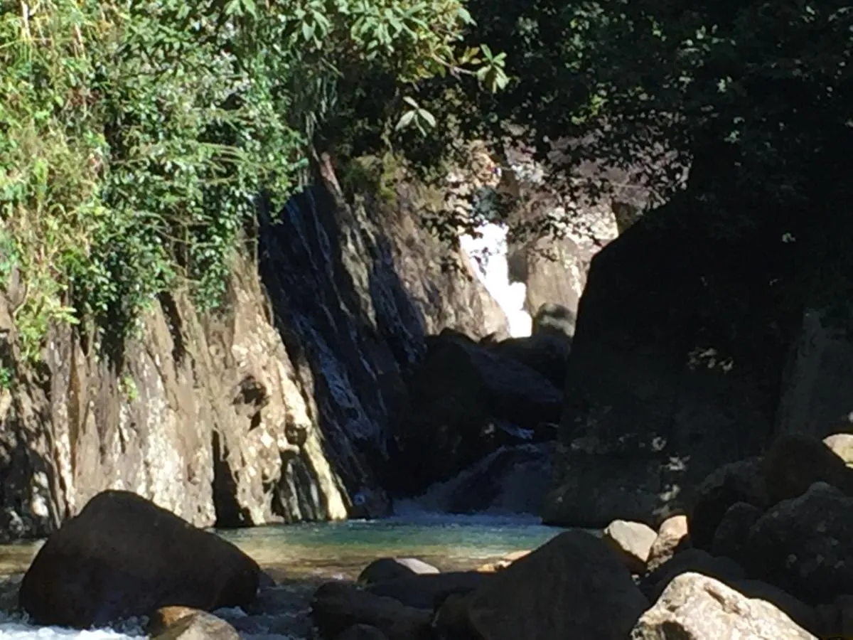 A waterfall pouring into a rock pool in the forest