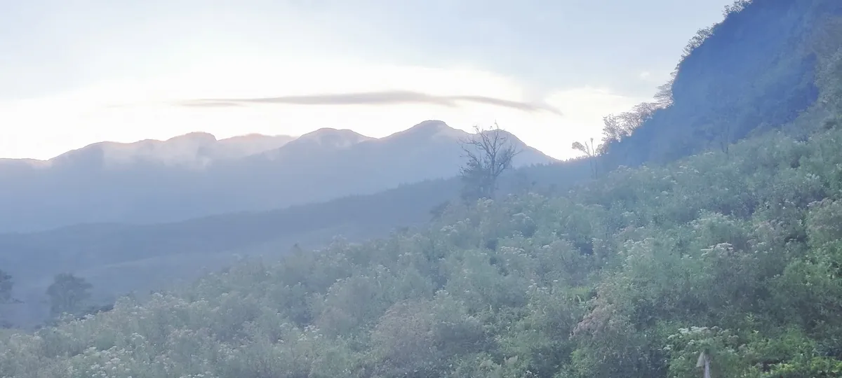 Panorama of the Knuckles ridges from the estate