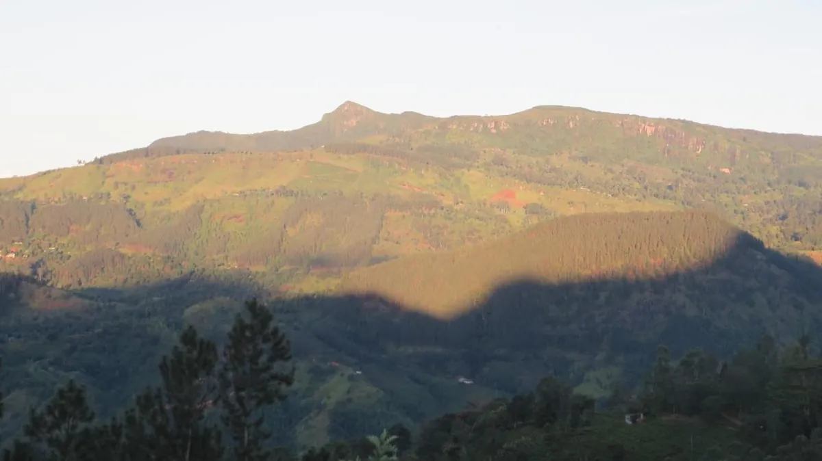 Evening light on the mountains