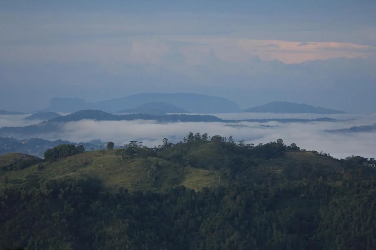 Clouds settling below the estate, with the ridges of the Knuckles range stacked in the morning light