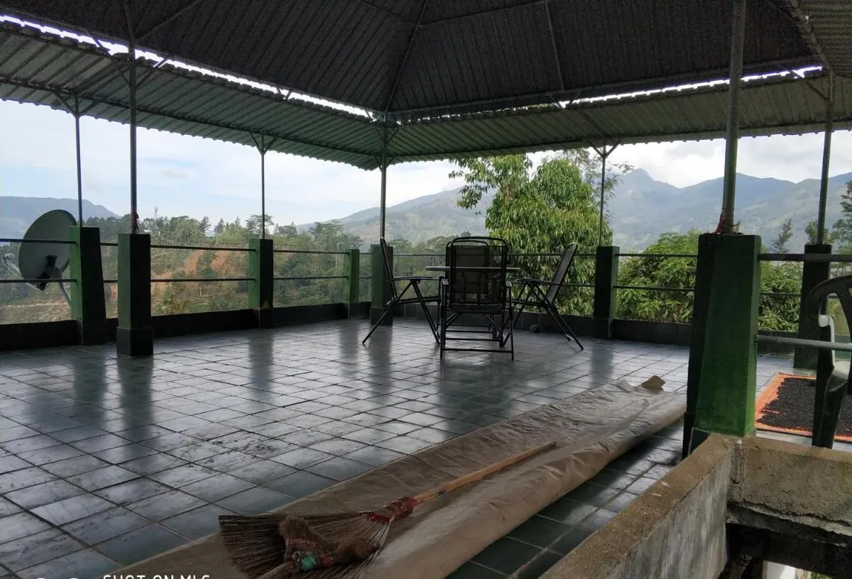 The open rooftop hut with its thatched roof