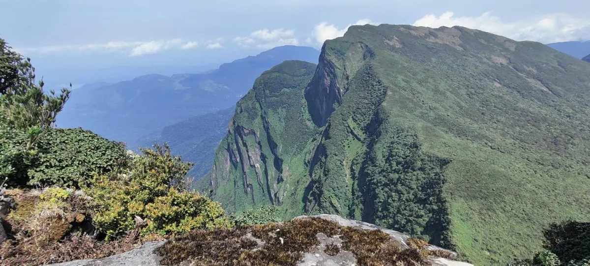 Hikers on an open grassy ridge in the Knuckles range